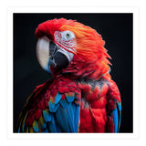 Scarlet Macaw Parrot Detailed Feather Close Up Portrait (Print Only) thumbnail