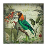 Tropical Bird Nostalgia  (Print Only) thumbnail