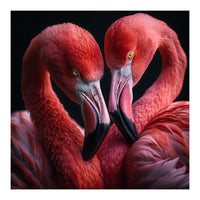 Two Flamingos Together (Print Only)