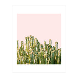 Cactus Blush #society6 #decor #buyart (Print Only) thumbnail