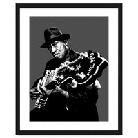 Taj Mahal American Blues Musician Legend