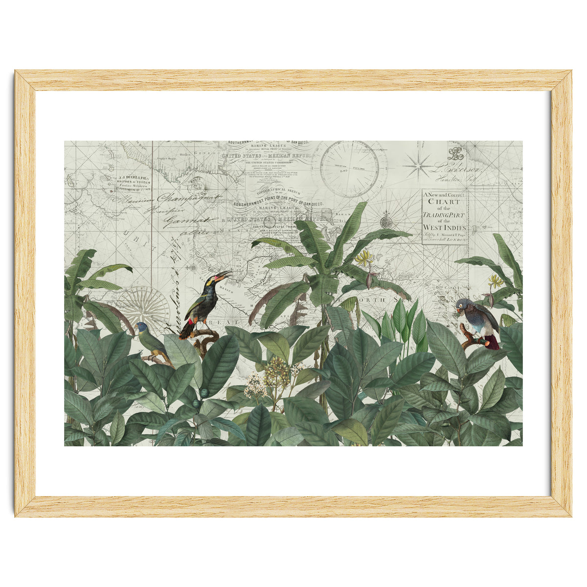 Explore The New World