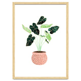 Home Plant | Ceramic Botanical Planter Illustration | Minimal Bohemian Watercolor Painting Polka Dot thumbnail
