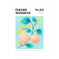 Magical Flowers No.23 Apricot Blossom (Print Only)