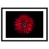 Backyard Flowers No 45 Color Flow Version thumbnail