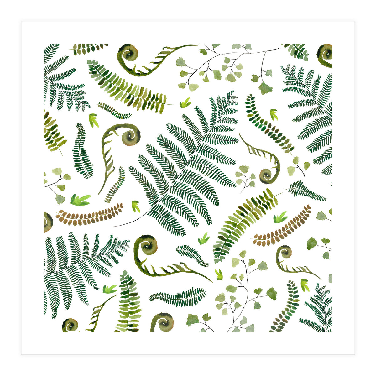 Spring Fern Pattern (Print Only)