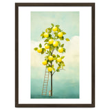 Lemon Tree thumbnail