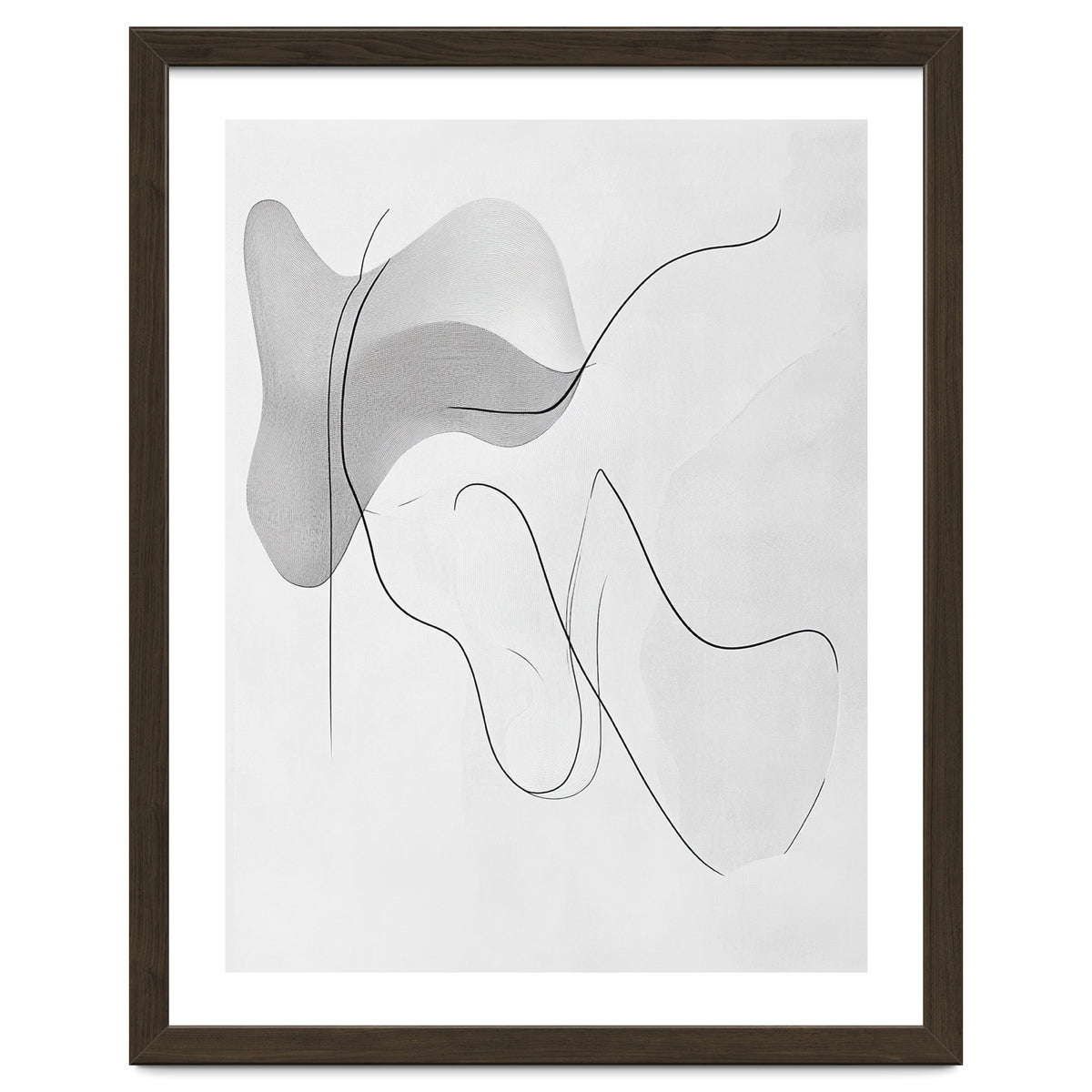 Abstract Black And White Flowing Lines And Shapes