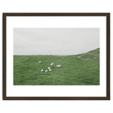 A flock of Sheep in the Green Hill - Iceland thumbnail