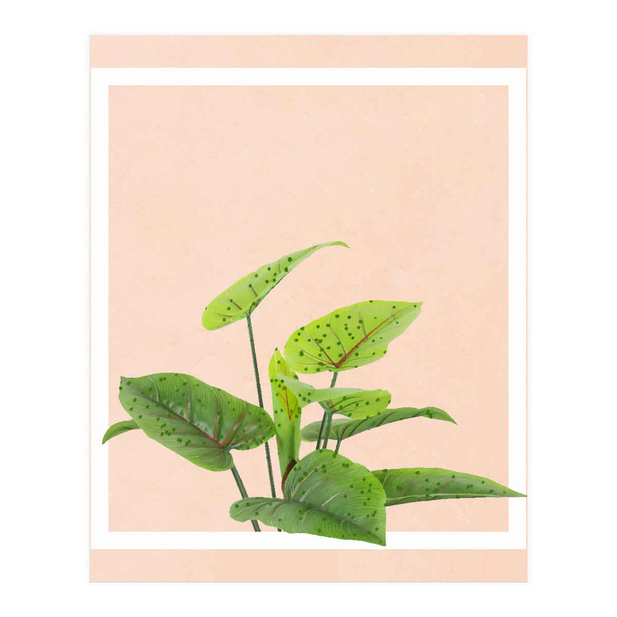 Botanical Art (Print Only)