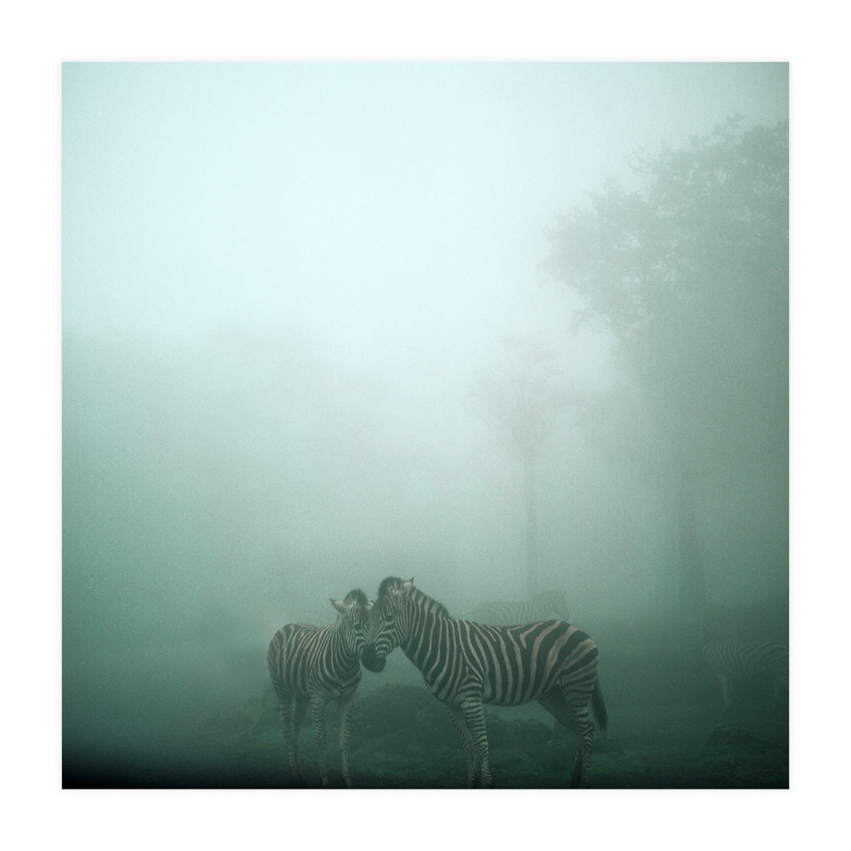 Silence of breath - 11 (Print Only)