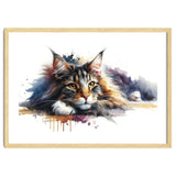 Maine Coon Resting Portrait thumbnail