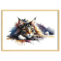 Maine Coon Resting Portrait
