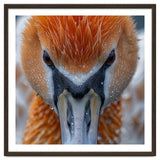 Close Up Of A Pelican's Beak With Water Droplets thumbnail