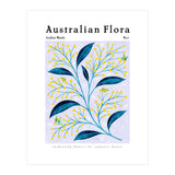 Australian Flora: Golden Wattle (Print Only) thumbnail