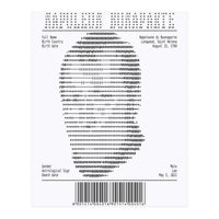 Receipt Art Napoleone Buonaparte (Print Only)