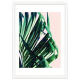 Palm V2 thumbnail