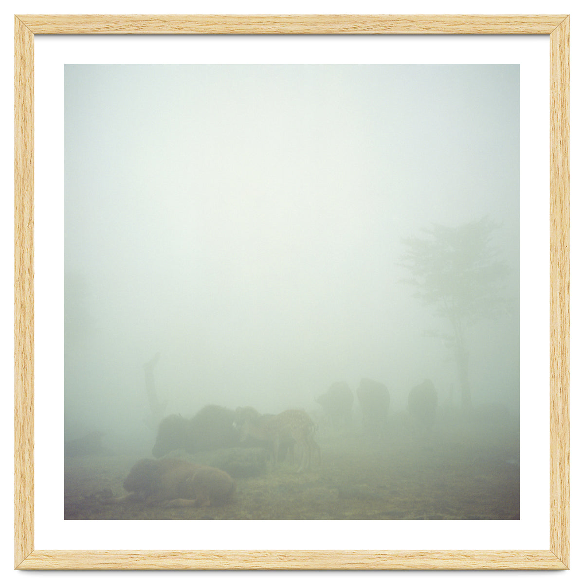 Silence of breath - 03