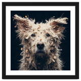 Old Dog 06 thumbnail