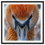 Close Up Of A Pelican's Beak With Water Droplets thumbnail