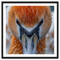 Close Up Of A Pelican's Beak With Water Droplets