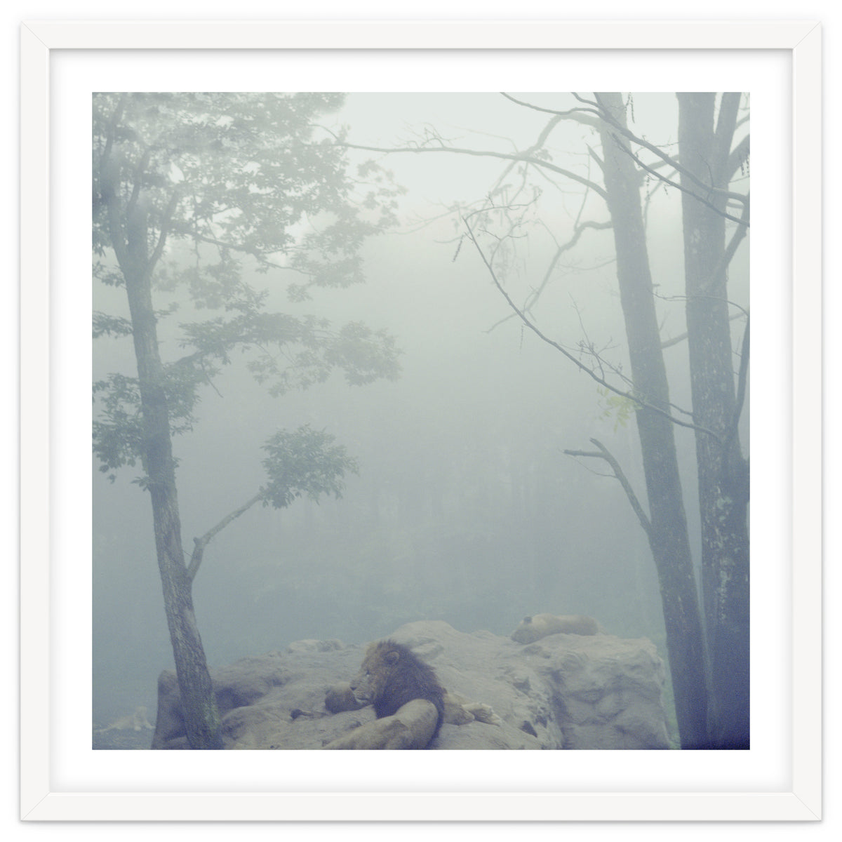 Silence of breath - 02