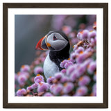 Atlantic Puffin Amidst Pink Heather Flowers thumbnail