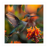 Hummingbird Hovering Near Orange Flowers (Print Only) thumbnail