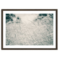 Walking Through Long Grass