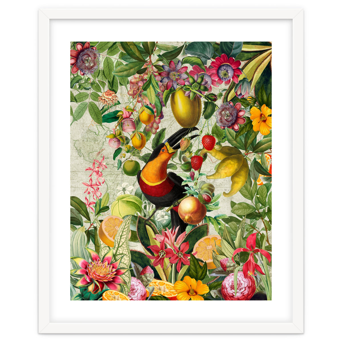 Toucan vintage jungle 1