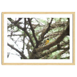 Mini sun thumbnail