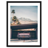 Palm Springs Pink thumbnail