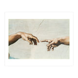 The Sistine Chapel; ceiling frescos after restoration. The creation of Adam. (Print Only) thumbnail