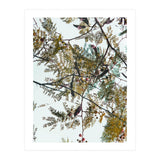 Patterns In Nature (Print Only) thumbnail