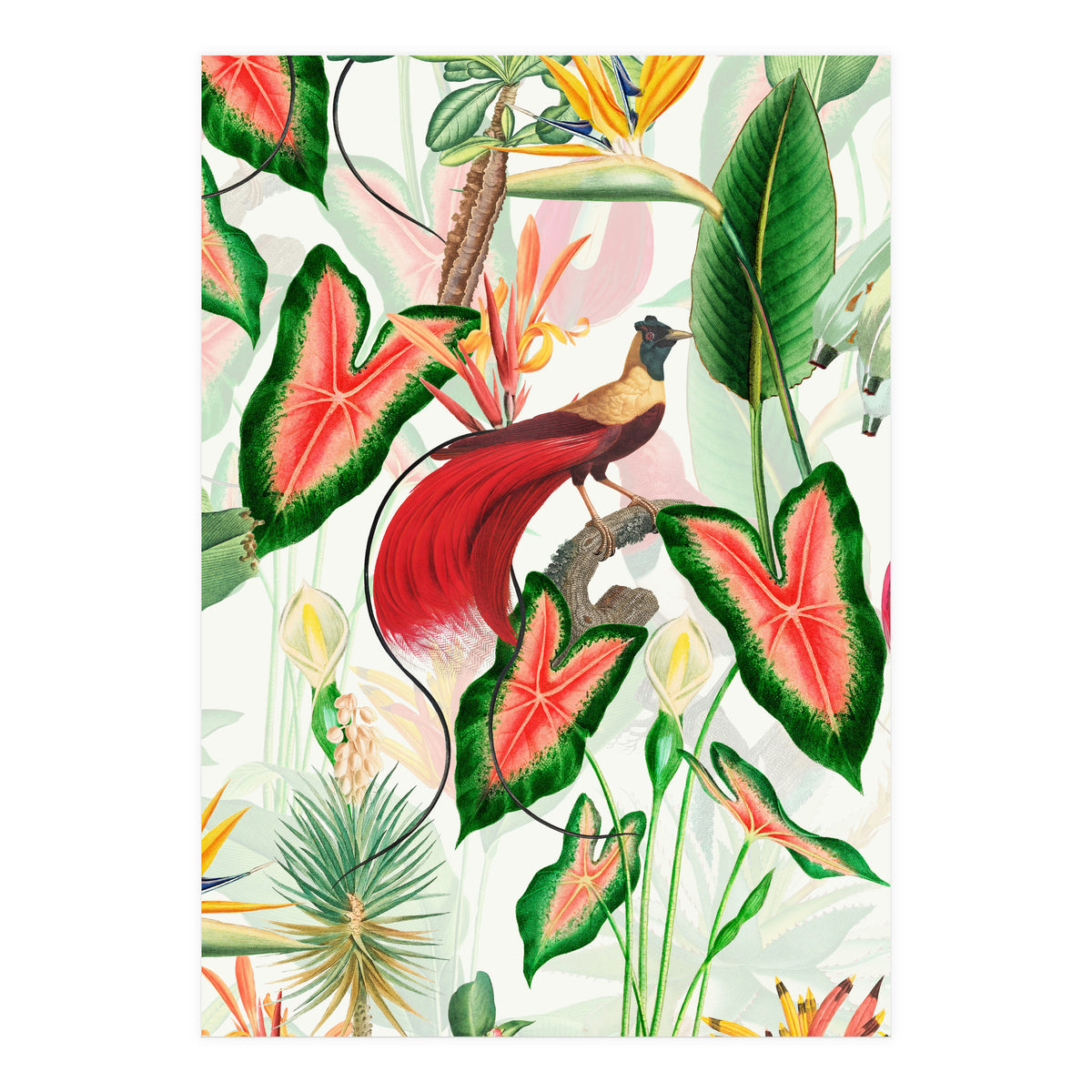 Vintage Bird Of Paradise in Jungle (Print Only)