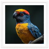 Close Up Colorful Parrot Perched On A Branch thumbnail