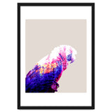 Macaw thumbnail