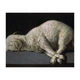 Agnus Dei - ca.1635-40 - oil on canvas - 37,3 x 62 cm - Spanish Baroque - NP 7293. (Print Only) thumbnail