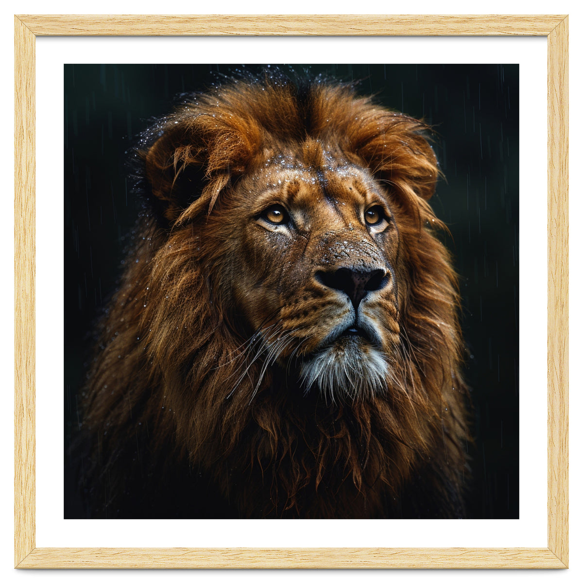 Majestic Lion Portrait In Gentle Rain