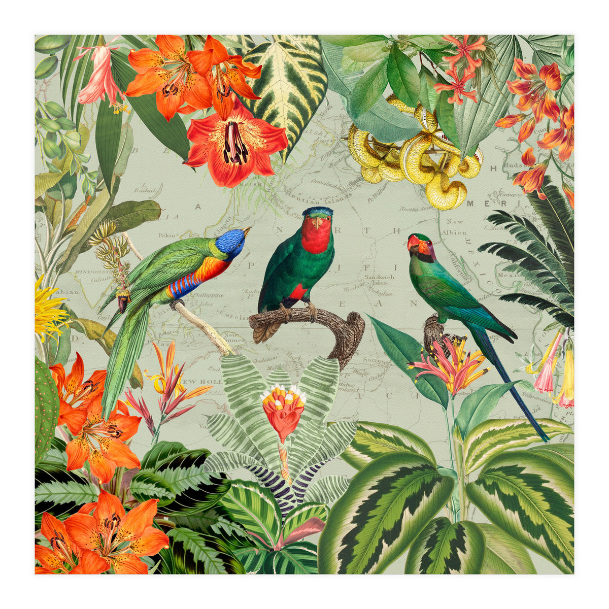 Exotic Parrots Jungle Landscape (Print Only)