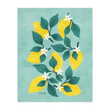 Lemon Blossom (Print Only) thumbnail