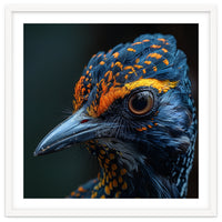 Close Up Of A Colorful Bird Head And Eye