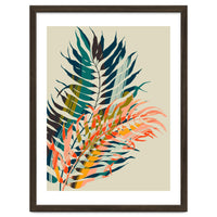 Colorful Palm Leaves