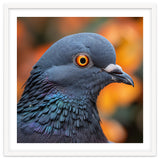 Close Up Of A Pigeon's Head And Neck thumbnail