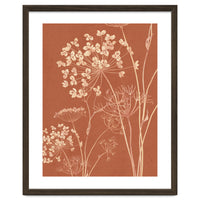 Wildflowers II