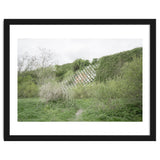 Green grass wall thumbnail