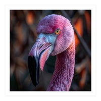 Close Up Of A Pink Flamingo Bird Face (Print Only)