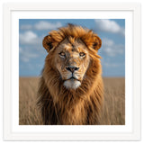 Majestic Lion In African Savanna Under Blue Sky thumbnail