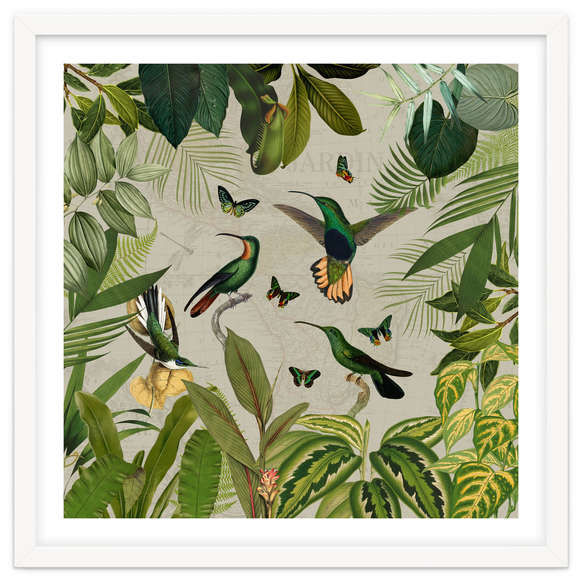 Vintage Exotic Hummingbirds Jungle