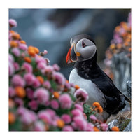 Puffin Bird Among Colorful Wildflowers In Bloom (Print Only)